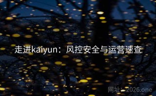 走进kaiyun:风控安全与运营速查