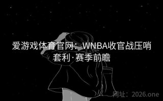 爱游戏体育官网:WNBA收官战压哨套利·赛季前瞻