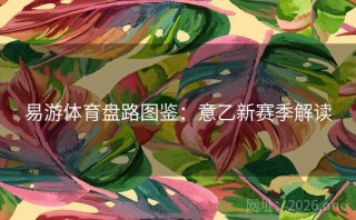 易游体育盘路图鉴:意乙新赛季解读