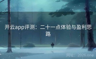 开云app评测：二十一点体验与盈利思路