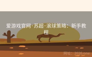 爱游戏官网·苏超·滚球策略:新手教程