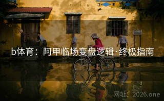 b体育:阿甲临场变盘逻辑·终极指南