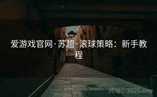 爱游戏官网·苏超·滚球策略:新手教程