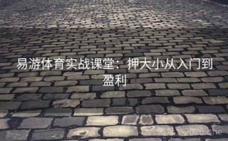 易游体育实战课堂:押大小从入门到盈利
