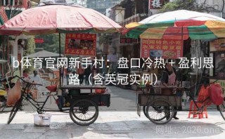 b体育官网新手村:盘口冷热 + 盈利思路(含英冠实例)