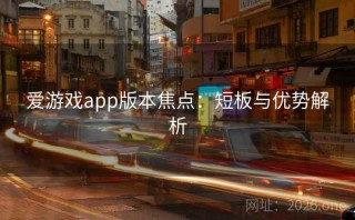 爱游戏app版本焦点:短板与优势解析