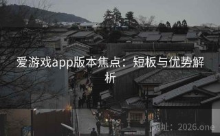 爱游戏app版本焦点:短板与优势解析