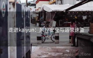 走进kaiyun:风控安全与运营速查