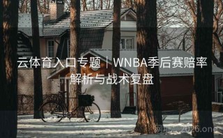 云体育入口专题｜WNBA季后赛赔率解析与战术复盘