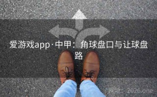 爱游戏app·中甲:角球盘口与让球盘路