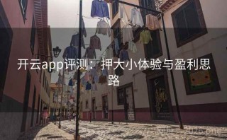 开云app评测:押大小体验与盈利思路