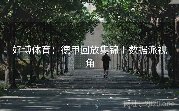好博体育:德甲回放集锦+数据派视角  第1张 好博体育:德甲回放集锦+数据派视角  第1张