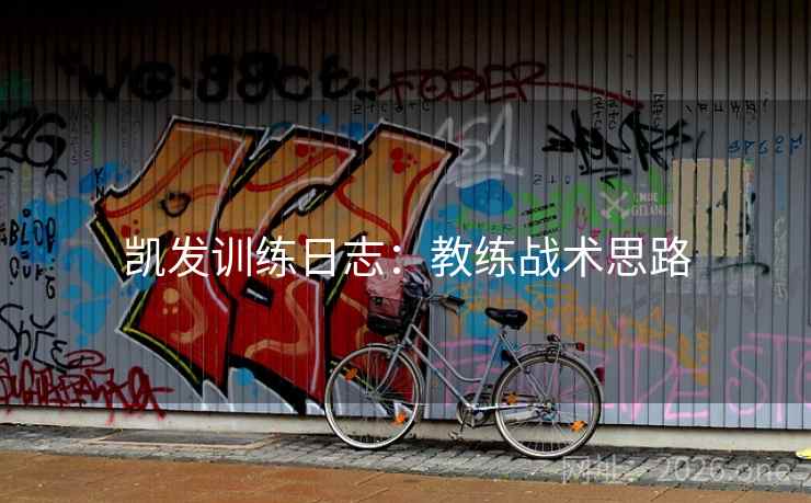 凯发训练日志:教练战术思路  第2张 凯发训练日志:教练战术思路  第2张