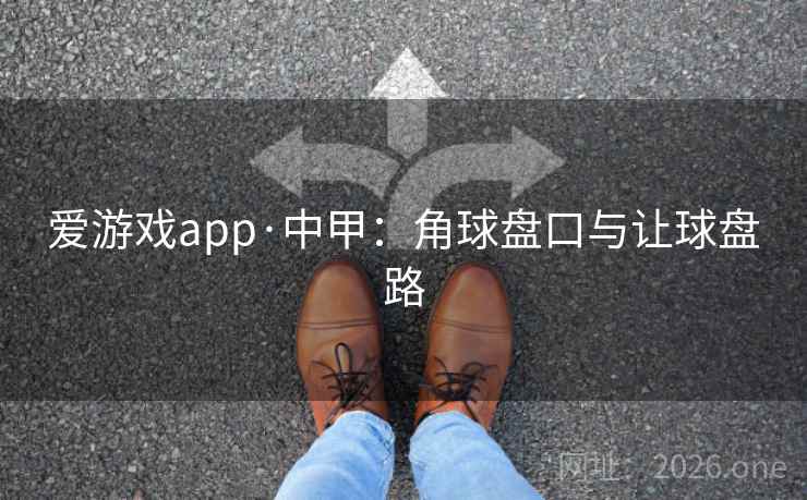 爱游戏app·中甲:角球盘口与让球盘路  第2张 爱游戏app·中甲:角球盘口与让球盘路  第2张