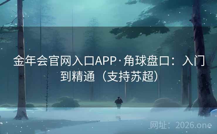 金年会官网入口APP·角球盘口:入门到精通(支持苏超)  第1张 金年会官网入口APP·角球盘口:入门到精通(支持苏超)  第1张
