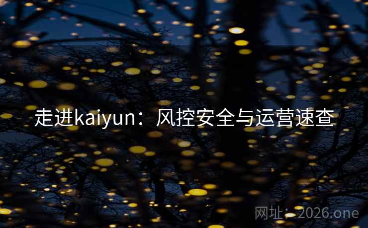 走进kaiyun:风控安全与运营速查  第1张 走进kaiyun:风控安全与运营速查  第1张