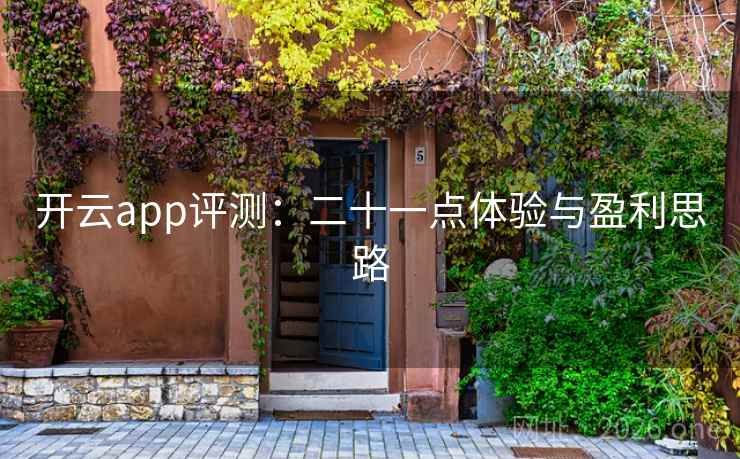 开云app评测：二十一点体验与盈利思路  第2张