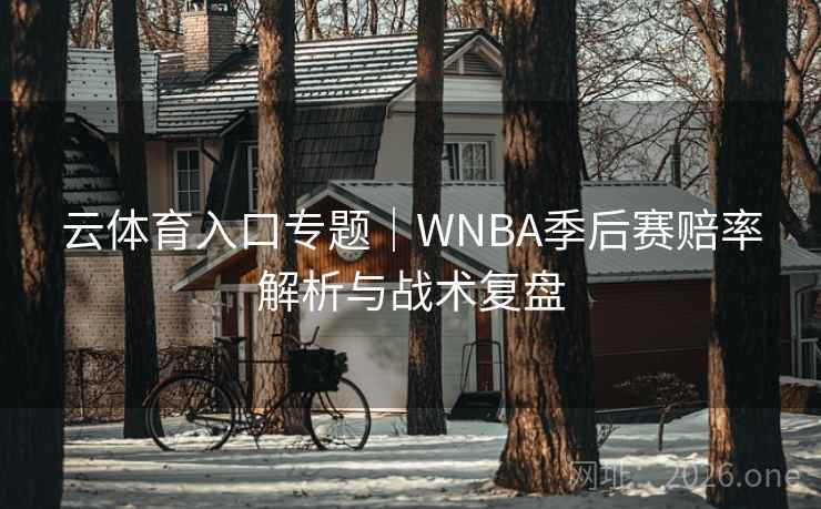 云体育入口专题｜WNBA季后赛赔率解析与战术复盘  第1张